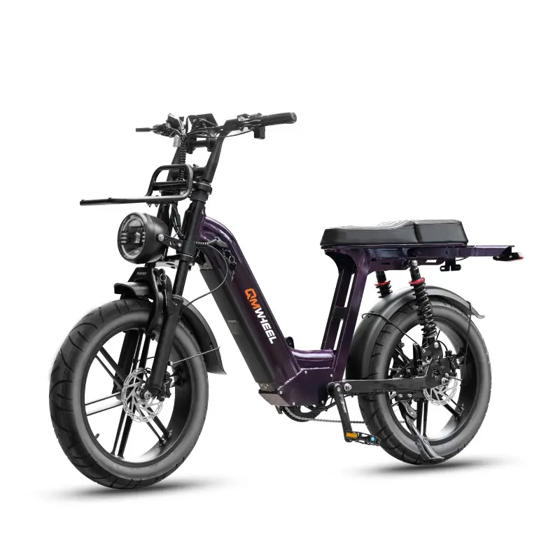 City Commuter Ebike com bateria de longo alcance