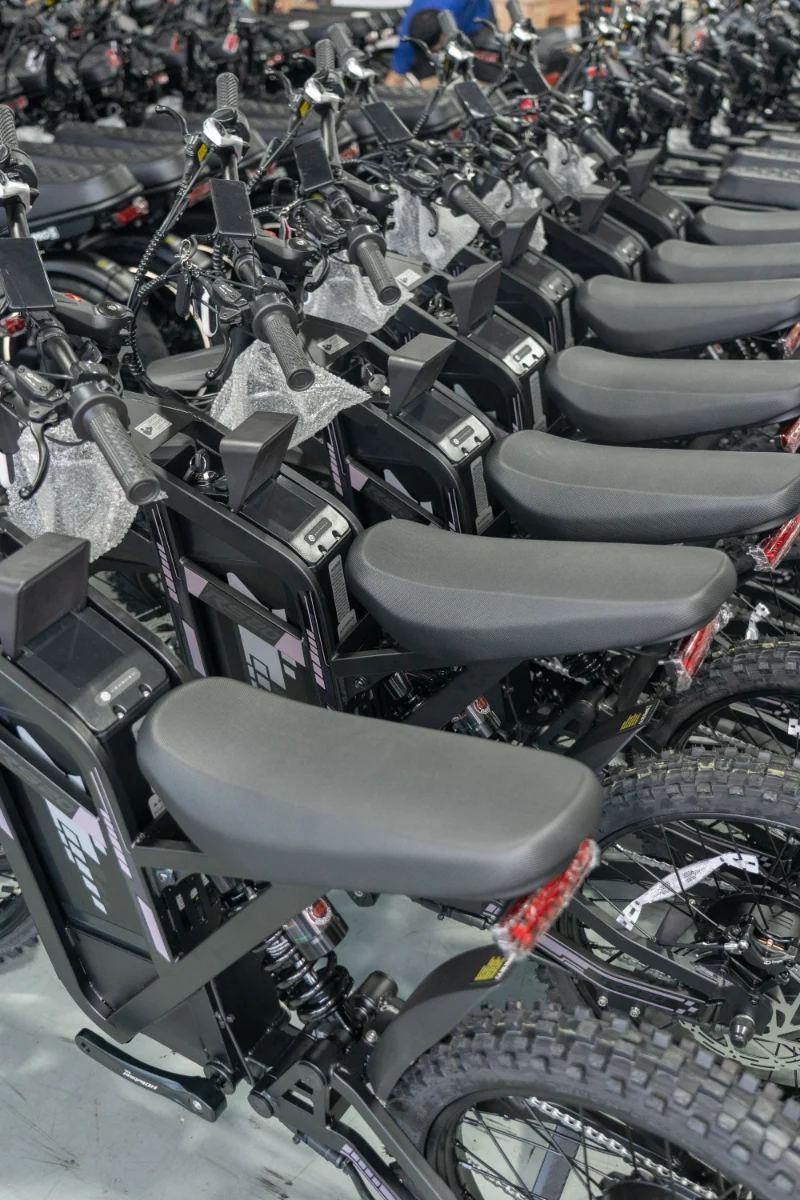 Bicicleta elétrica com pneu gordo de bateria dupla