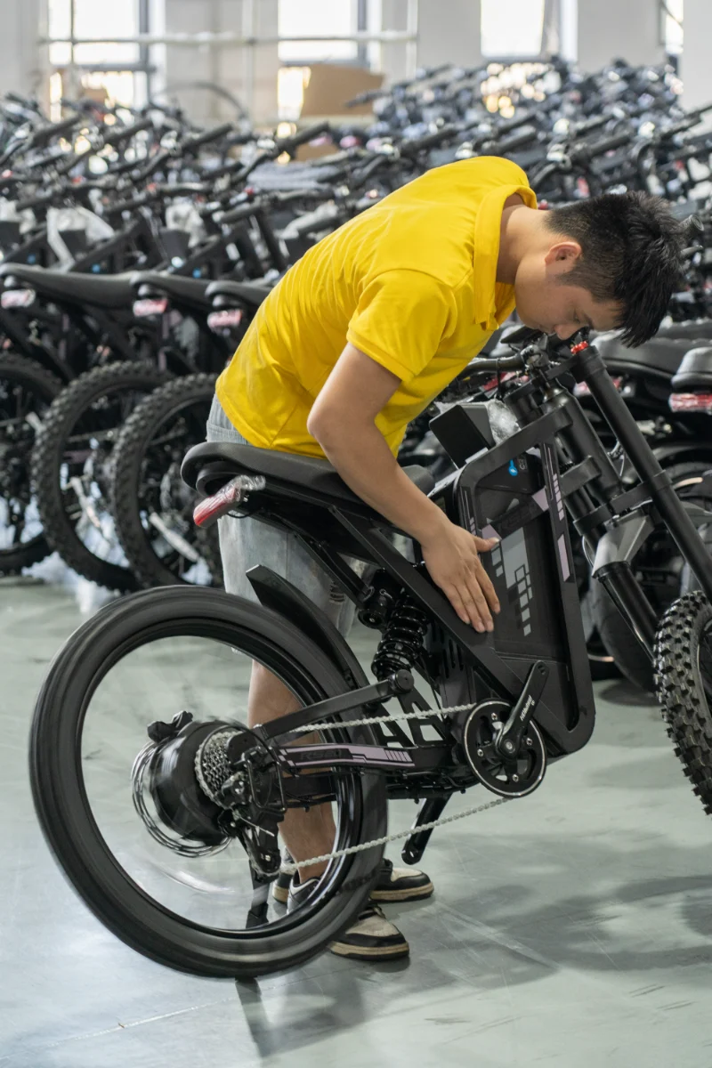 Bicicleta elétrica com pneu gordo de bateria dupla