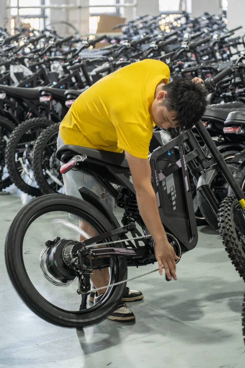 Bicicleta elétrica com pneu gordo de bateria dupla