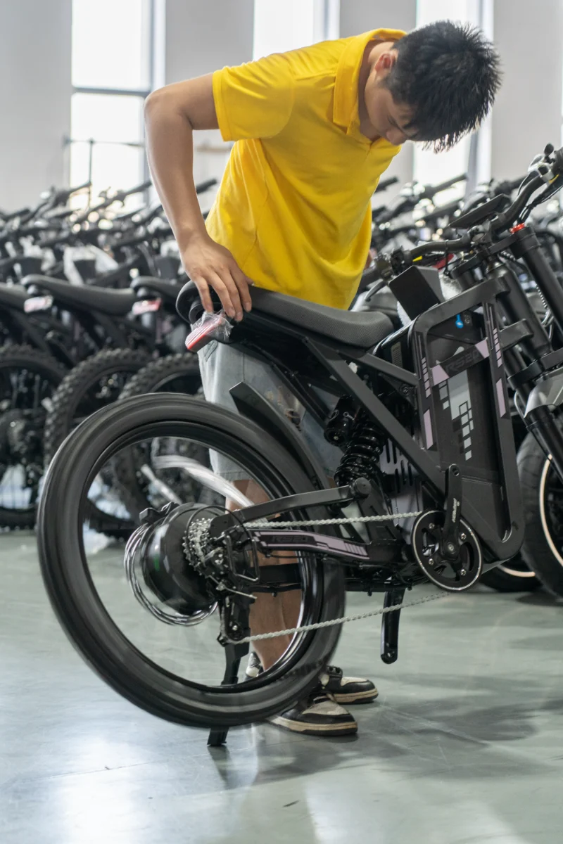 Bicicleta elétrica com pneu gordo de bateria dupla