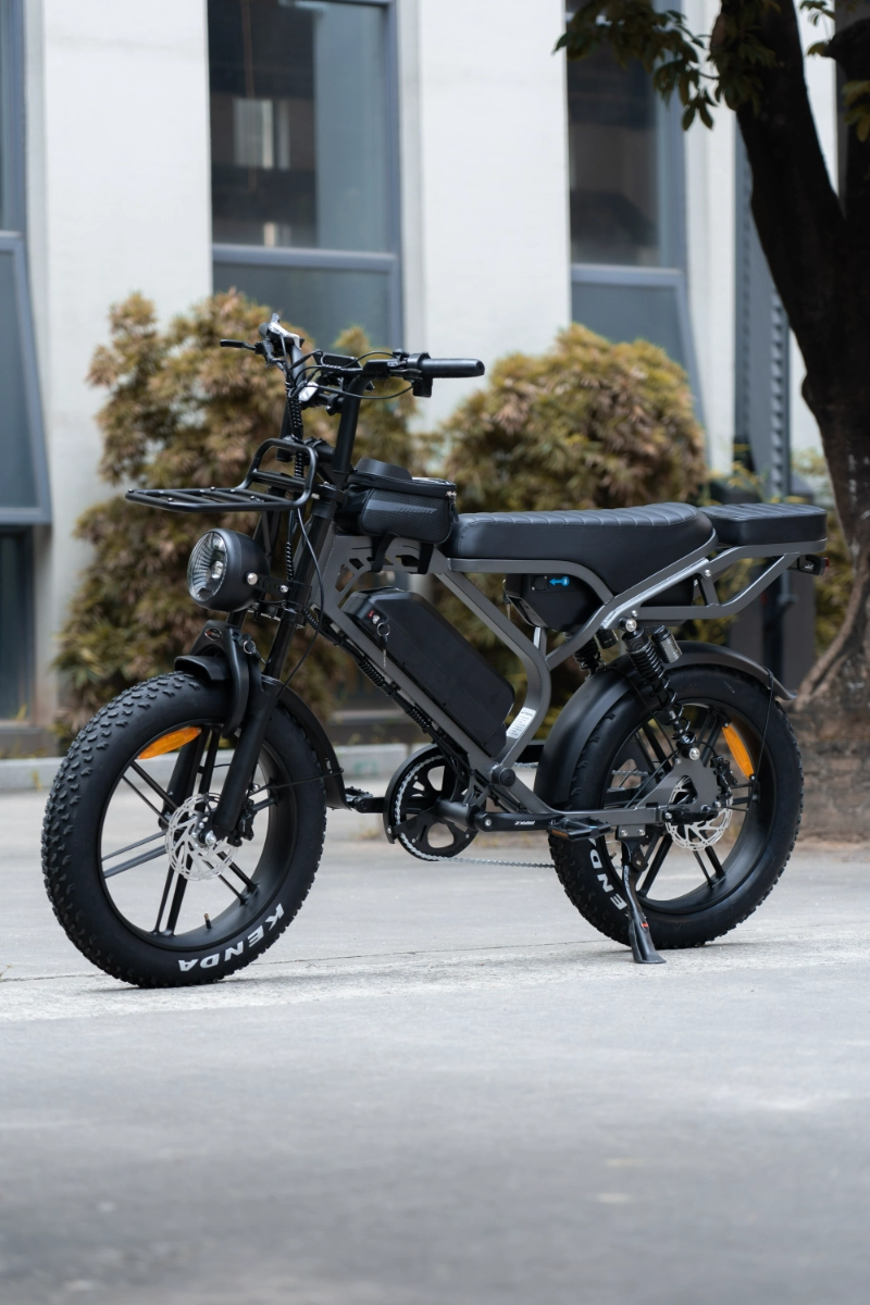 Como as bicicletas el&eacute;tricas com pneus grossos personalizados OEM ajudam as marcas a alcan&ccedil;ar nichos de mercado